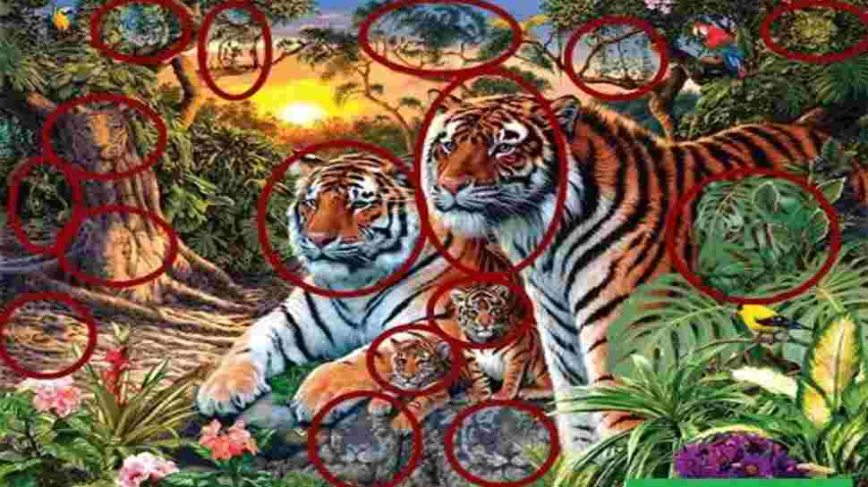 Optical Illusion : एक ही फोटो में छिपे हैं 16 बाग