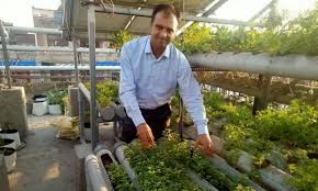 Agriculture Clerk Recruitment 2023: कृषि विभाग में क्लर्क पदों पर भर्ती नोटिफिकेशन जारी आवेदन शुरू Full Information 5 Agriculture Clerk Recruitment