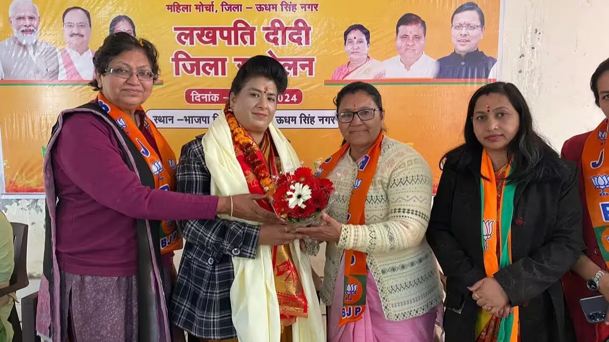 Lakhpati Didi Scheme 2024 Online Apply,जाने पूरी जानकारी Full Information 4 Lakhpati Didi Scheme