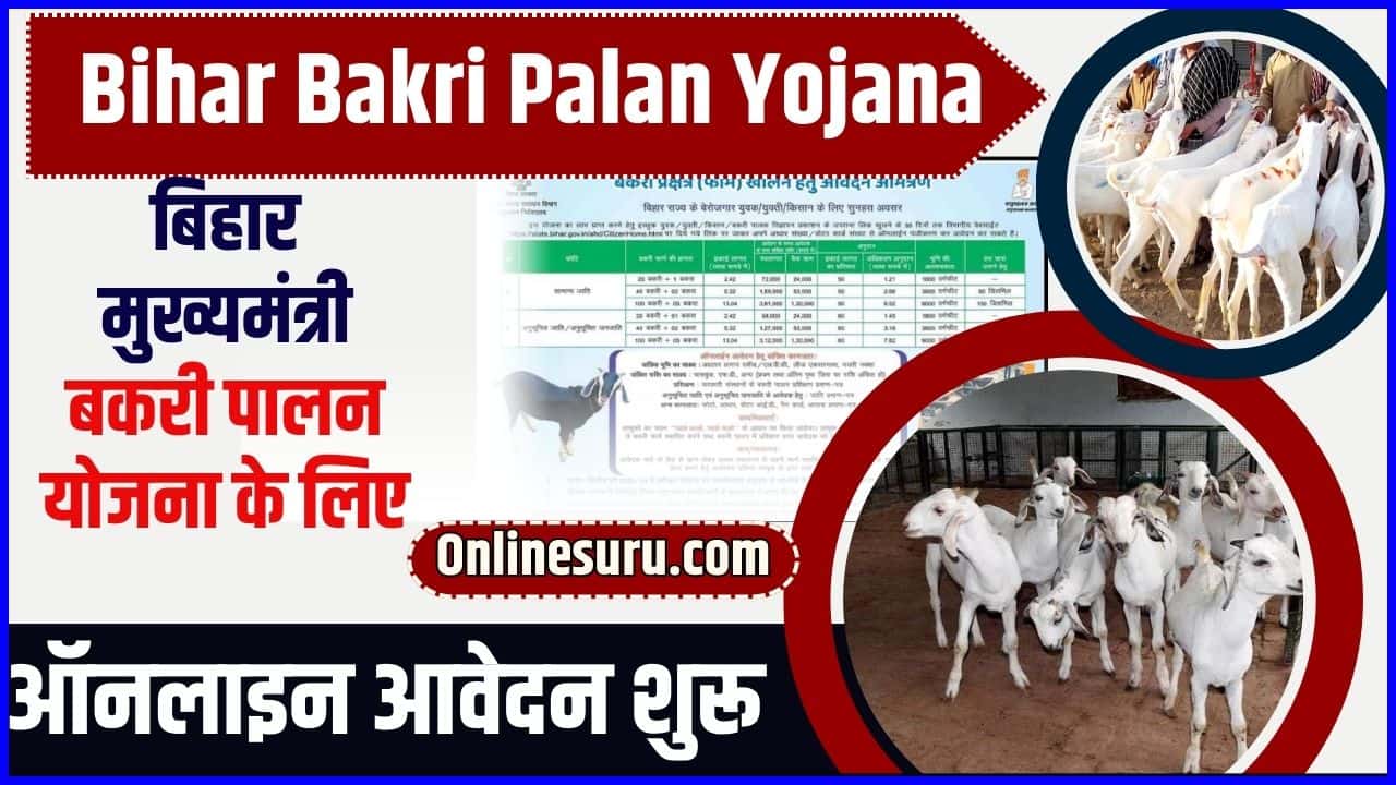 Bihar Bakri Palan Yojana 2024 | बिहार मुख्यमंत्री बकरी पालन योजना के लिए ऑनलाइन आवेदन शुरू Full Information 3 Bihar Bakri Palan Yojana