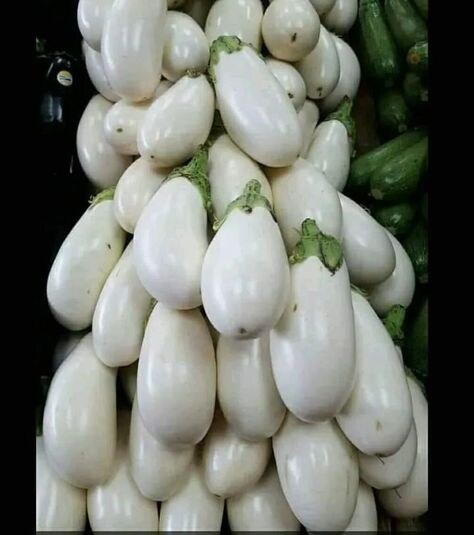 Baigan Ki Kheti Se Kitna Munafa Kamaya 2024: किसान भाइयों के लिए बहुत बड़ी खबर , सफ़ेद बैगन की खेती से होगी तगड़ी कमाई मिलेगा भरपूर मुनाफा Full Information 4 Baigan Ki Kheti Se Kitna Munafa Kamaya